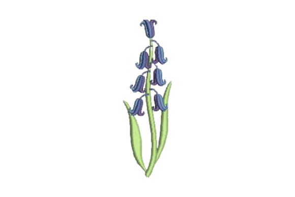 Bluebell: A Fresh Floral Embroidery for Your Projects