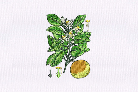 Floral Vines Orange: A Premium Embroidery Design