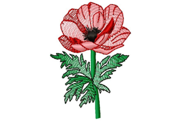 Sketched Poppy: A Fresh and Elegant Embroidery